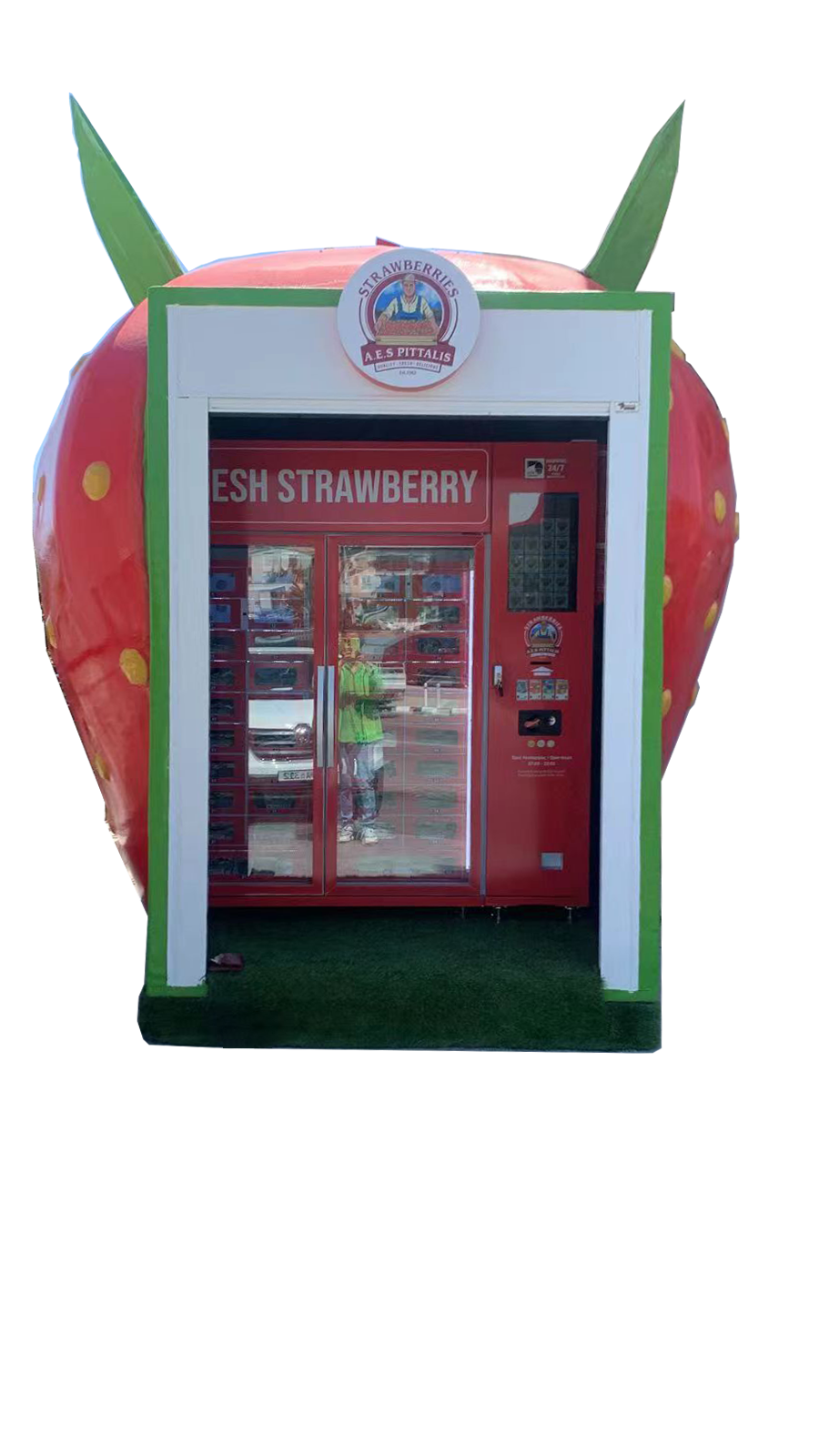 Distributeur automatique de casier de fraise en libre-service pour les fermes, les villages et les magasins locaux